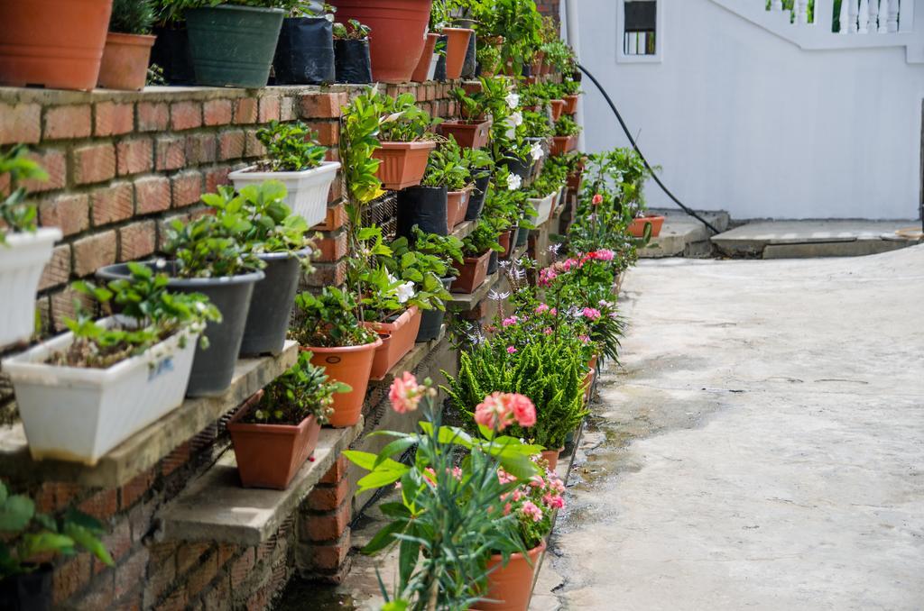 Kundasang Guesthouse Exterior photo